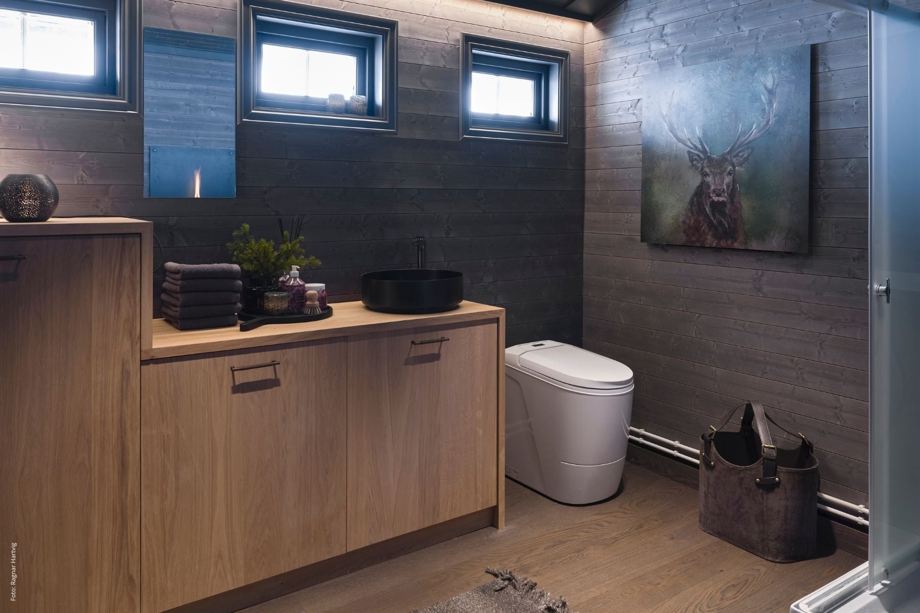 Modern bathroom with wooden vanity, Cinderella Premium incineraton toilet, and deer painting on wall.