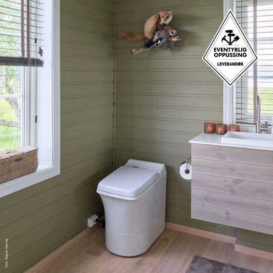 Bathroom with green walls, a Cinderella Freedom incineration toilet, and a vanity unit with a window in the background.