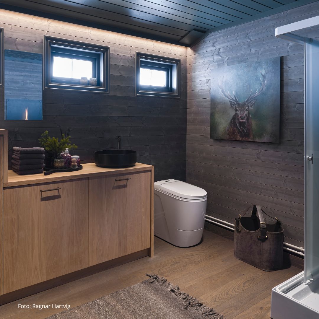 Cinderella Premium installed in stunning cabin bathroom