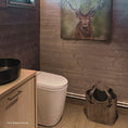 Load image into Gallery viewer, Cinderella Premium installed in stunning cabin bathroom
