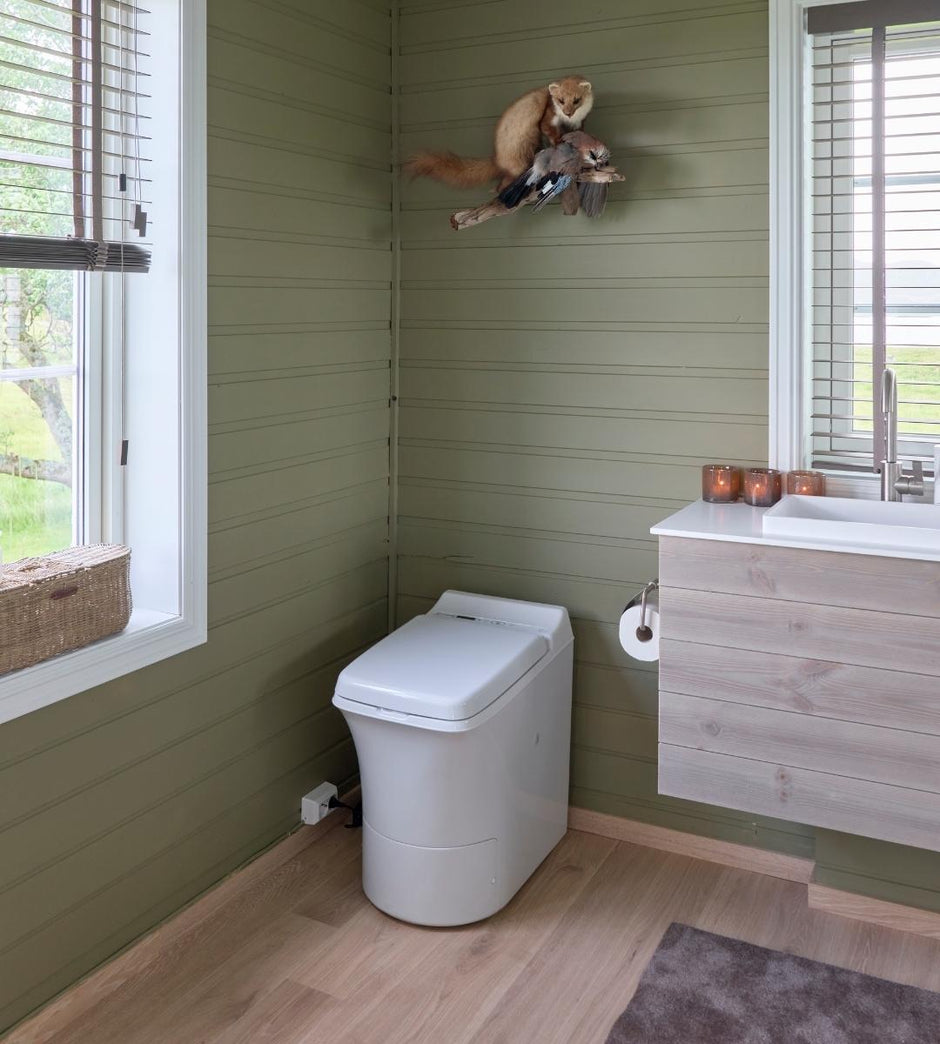 Bathroom with green walls, a Cinderella Freedom incineration toilet, and a wooden vanity.