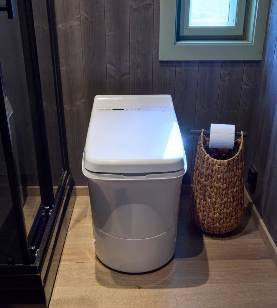 Cinderella Comfort in a bathroom with a woven basket and toilet paper roll.