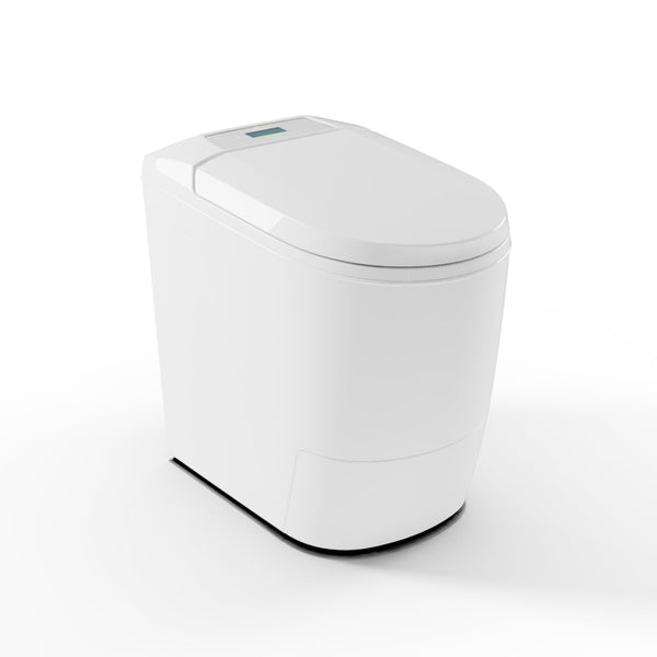 premium_1_grande.jpg?v=1729511661