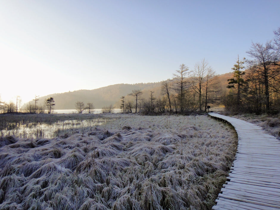 Scandinavian winter landscape