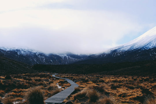 Wooden hiking path in misty landscape