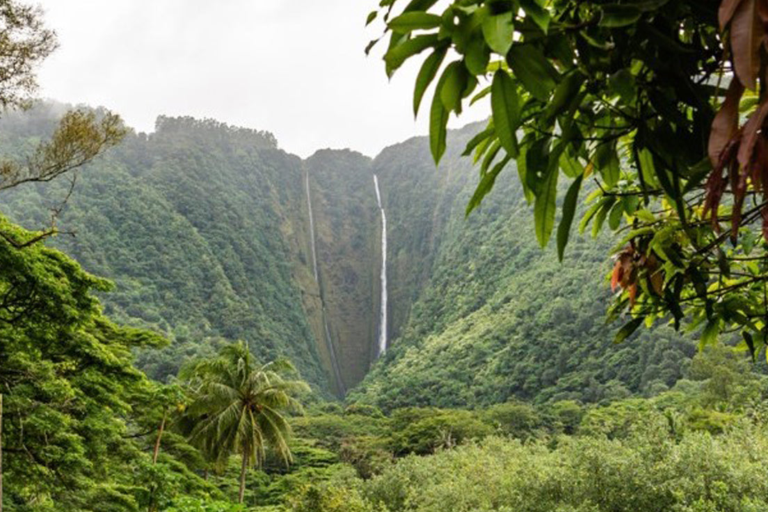 Från Norge till Hawaii